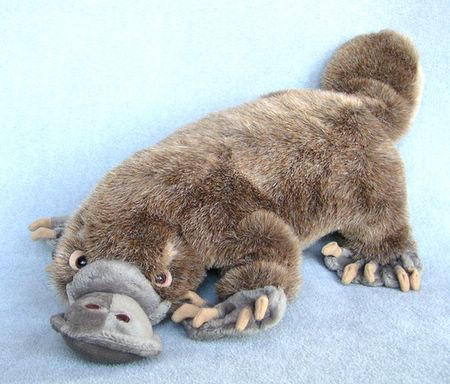 what is a platypus? [tapirback.com]