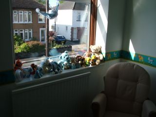 My menagerie