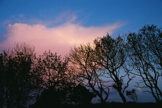 Sunset in Brittany