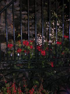 White House Gates Restored By American Horticultural Society ...
