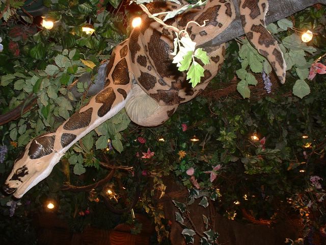 Rainforest Cafe in Grapevine Mills Mall