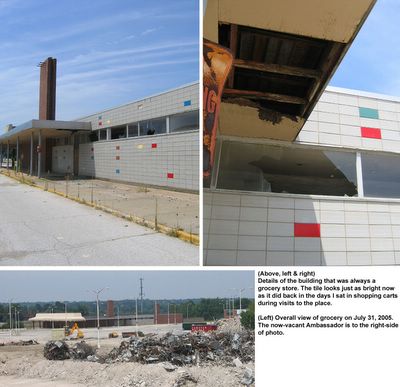 northland shopping center grocery store demolition photos by toby weiss