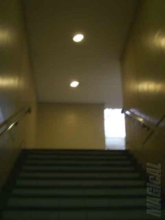 Ayala Underpass Stairs