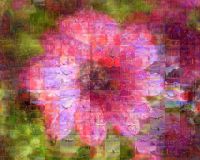 Multiexposure of all three images using Picasa