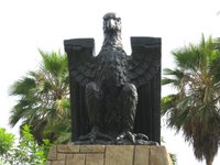 Condor in Lima