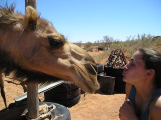 Colleen gets personal with a camel