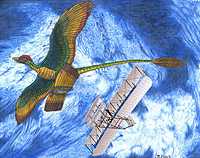 Jeff Martz - Microraptor gui and Bi-plane
