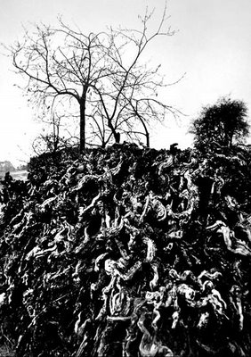 l'Enfer de Dante