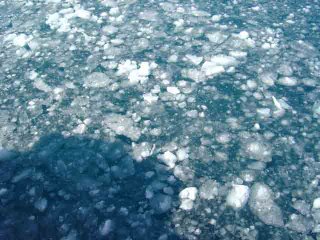 surface ice