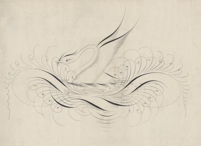 bird calligraphy