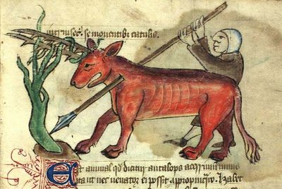 horned quadruped speared by man