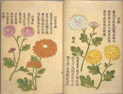 Flowers from rare Japanese book