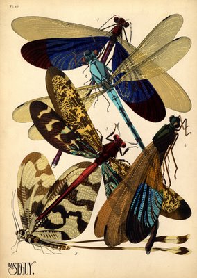 artdeco insect prints