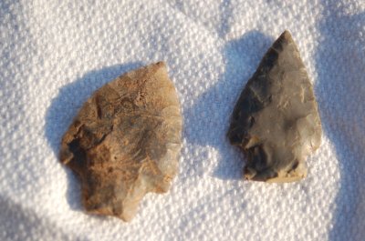 Projectile points from Droop Mountain and Caesar Mountain