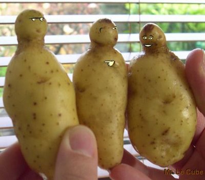 Photos ragot-de-patates