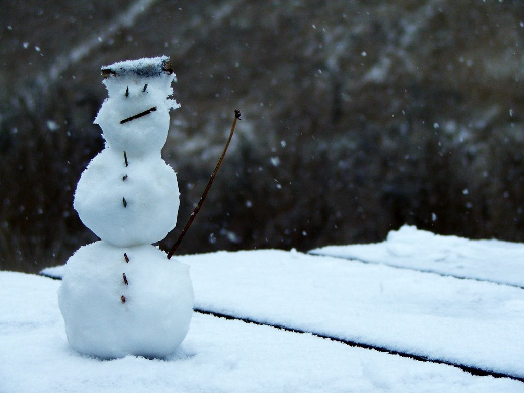 Micro Snow Man
