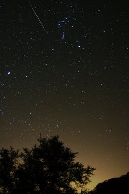 A Geminid meteor falling over the Bamberger Ranch. ©2006 Chris W. Johnson.