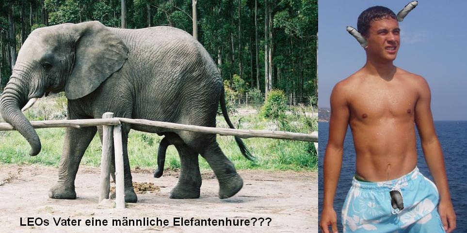 männliche nutte die liebesschaukel männliche nutte die liebesschaukel