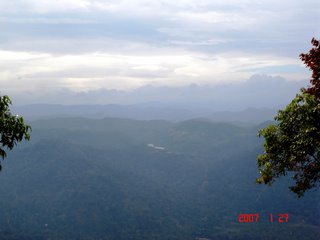 The Majestic Nilgiris