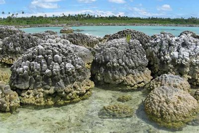 Arrecifes de coral en Sumatra