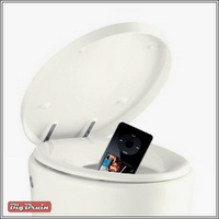 iPod Toilet Mishaps