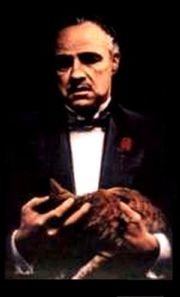 dubbi esistenziali: Don VIto Corleone o Michael Corleone