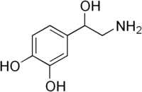 Norepinephine molecule