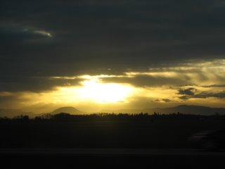 in the car on the way home from Springfield