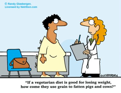Some Vegetarian Diet Facts
