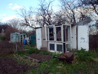 a Manor Green allotment