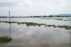 Guayaquil River