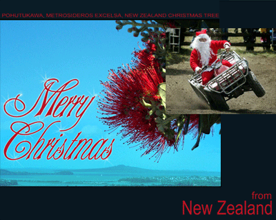 Merry Xmas from New Zealand