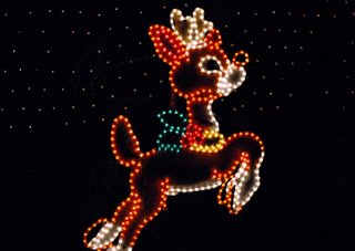 reindeer christmas lights
