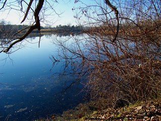 Huron River flowing through Milford, MI
