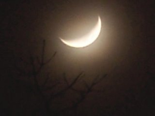 Waxing crescent moon in the night fog - Toledo