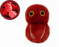 soft toy for kid that love science