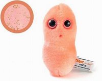 let learn about bacteria in cute way
