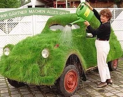 Volkswagens owner take care of her grass car.