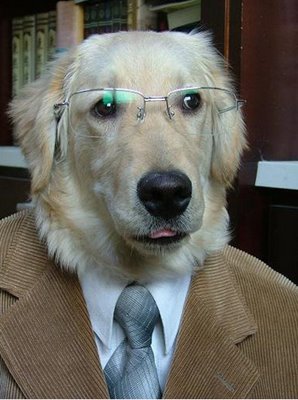 educated dog in library