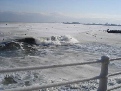 cold sea at antarctic