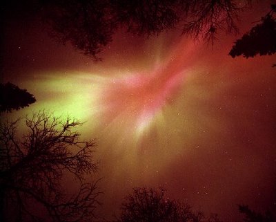 photos of aurora