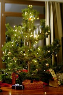unser weihnachtsbaum 2006 - klicken zum vergrößern