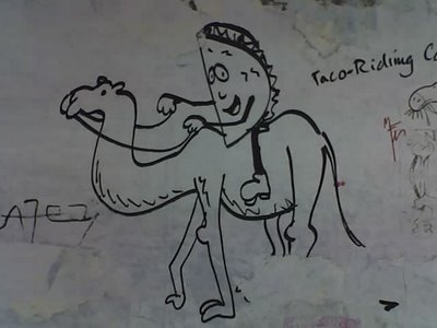 Taco Riding Camel
