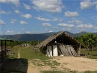The Hut