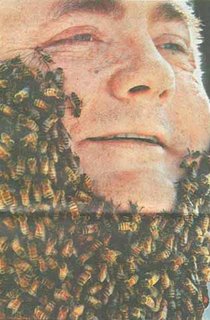 A bee beard