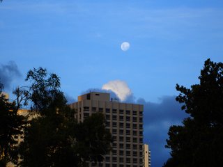 New Year's Day Moon
