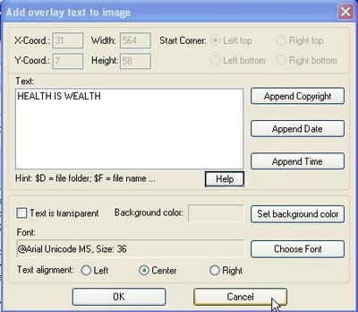 Irfanview 'insert text into selection