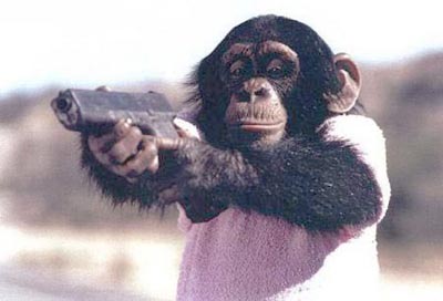 Monkeying around