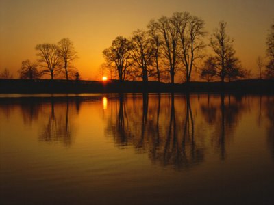 Reflecting on reflection