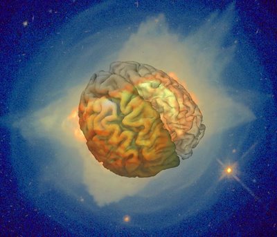 Merging images: the first is the stellar death of planetary nebula NGC 7027 taken by Hubble - The image of the brain is by the Virtual Human Initiative
